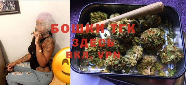 молекула духа Нягань