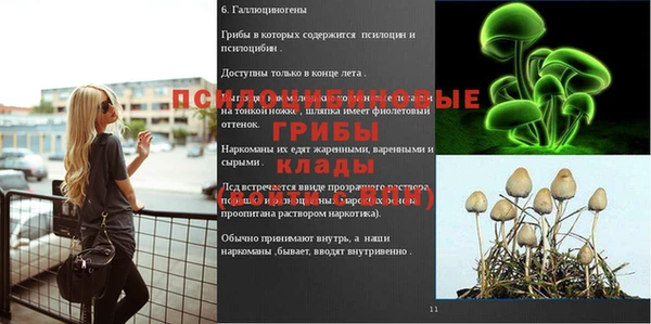 Альфа ПВП Алексин