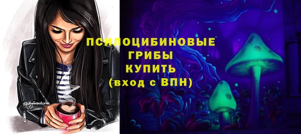 МДМА Алексеевка