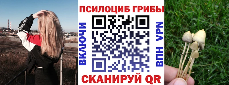 Псилоцибиновые грибы прущие грибы  Узловая 