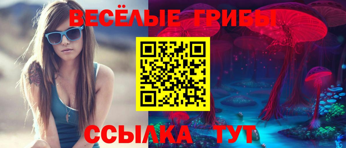 Узловая  Галлюциногенные грибы Cubensis  Вход с VPN  Псилоцибиновые грибы MAGIC MUSHROOMS 