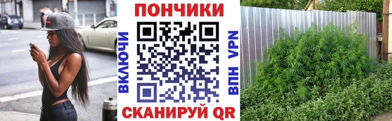 Шишки марихуана Bruce Banner  Узловая 